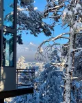 Eagle Peak Cabin- best views and private trail