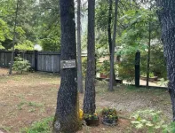 Doney Creek Cabin