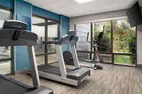 Hampton Inn Roanoke/Hollins-I-81 - Træningscentre
