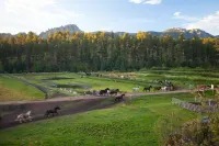 The Hynes Cabin- 1925 Renovated Classic with Stunning Views