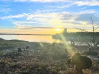 Fox Kit Cabin Hotels in Bosque County