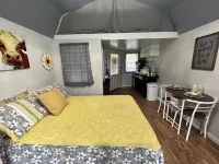 Star glazing Tiny house off grid peaceful Stone Mountain State Park and Fire pit Hotels in Traphill