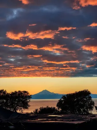Perfect Fisherman's Cabin with Ocean Views and Central Location on the Kenai Pen Отели в г. Клэм Галч