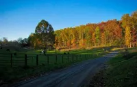 Meadow View Cabin, a deluxe log home near Lexington VA.