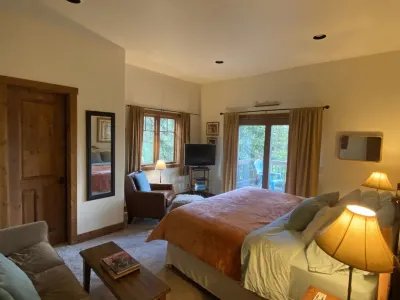 Fun home,zipline,tramp,trail access,hot-tub,mtn views,kid&pet👍town skihill close