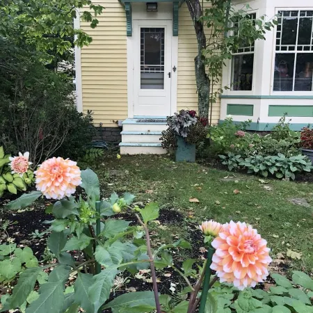 In the Heart of Maine, Nestled in Camden Village
