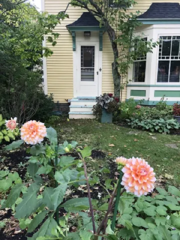 In the Heart of Maine, Nestled in Camden Village