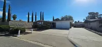 Fun in the Sun