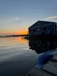 #49 Cozy Lake Front Cabin w/AC, WiFi & Breathtaking Views! Marina w/Free Fishing