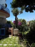 3 Apartments with panoramic terrace or furnished garden - 50 mt. sea