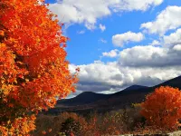 Resort Mountain Home with  Private Hot tub Walk to Pools, Pond WIFI Hotels in Campton