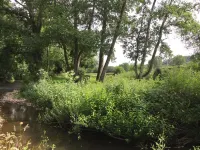 Charming Well Equipped Lodge by the Beautiful River Yarty