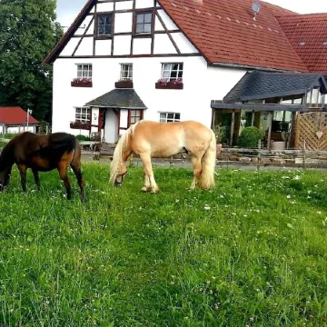 Apartment with a view, a place to unwind