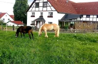 Apartment with a view, a place to unwind