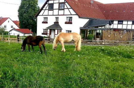 Apartment with a view, a place to unwind