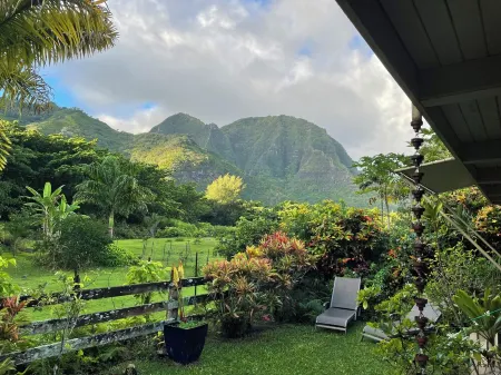 Traditional Hawaiian House - Walk to Tunnels Beach Отели рядом с достопримечательностью «Лумахаи Бич»