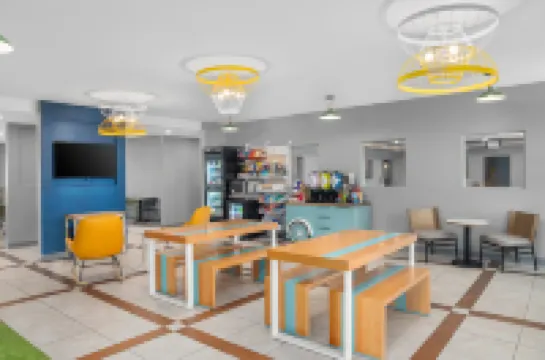 Spark by Hilton Minot