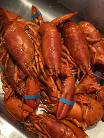 Crashing surf, steps to the sand, Pier BEST CONDO IN OLD ORCHARD BEACH