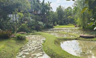 O-yua Resort