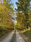 Westby Hideaway: Charming & Cozy 2-Bedroom Cabin on a Peaceful Dead-End Road.