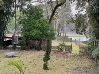 Jungleciti House Hotels in Nagaon