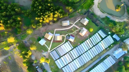 Uncle Tom's Cabin at Khaokho