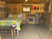 Cozy Off Grid Cabin w/pond for fishing.