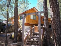 Light filled 3-bedroom cabin with a stone fireplace in magical Idyllwild, CA