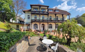 Park Villa Zentral am Mittelrhein - Zimmer & Apartments