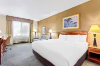 Comfort Inn & Suites I-25 Near Spaceport America Hotels in Truth or Consequences