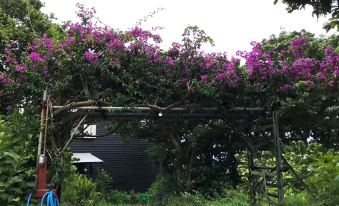 Galaxy Guest House