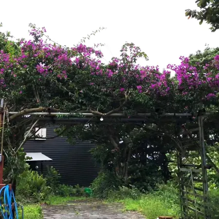Galaxy Guest House