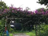 銀河莊-Galaxy Guesthouse 12歲以下不可 鄰近開善院葵堂的酒店