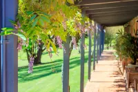 Bright Mystic Valley