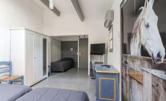 Hotel les Palmiers En Camargue