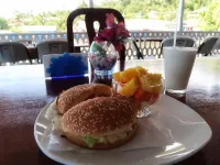 Hotel Caribbean View Hotels in Bastimentos Island