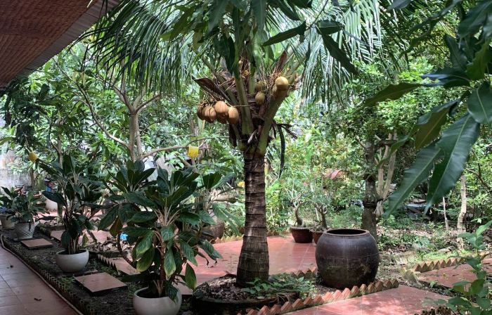 Island Homestay