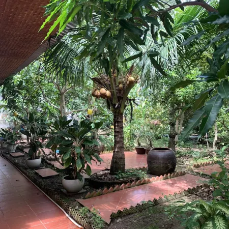 Island Homestay