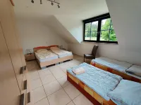 Spacious Semi Detached House with Wood Stove Located Directly on the Rennsteig Hotels in Sachsenbrunn