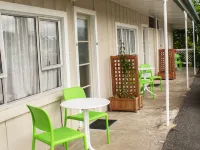 Palm Motel Waihi