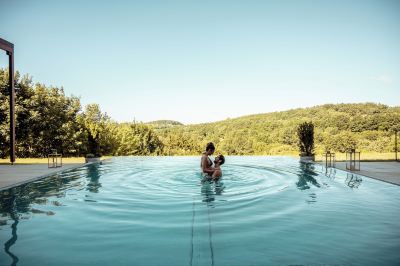 屋外プール ファルケンスタイナー バランス リゾート シュテガースバッハ(大人専用)の写真