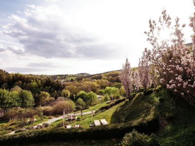 ホテル周辺 ファルケンスタイナー バランス リゾート シュテガースバッハ(大人専用)の写真