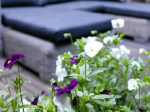 ホテル マックス アムステルダムのホテル