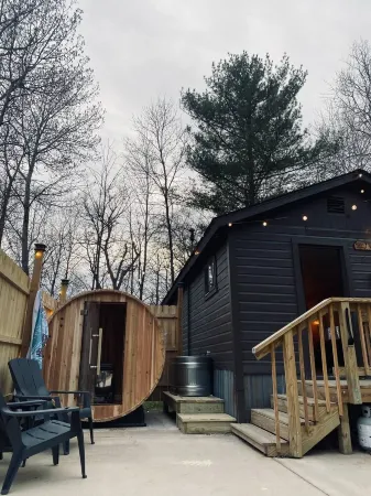 Tiny Timber, Tiny Cabin with a Scandinavian Flair! Sauna & Plunge Tub!