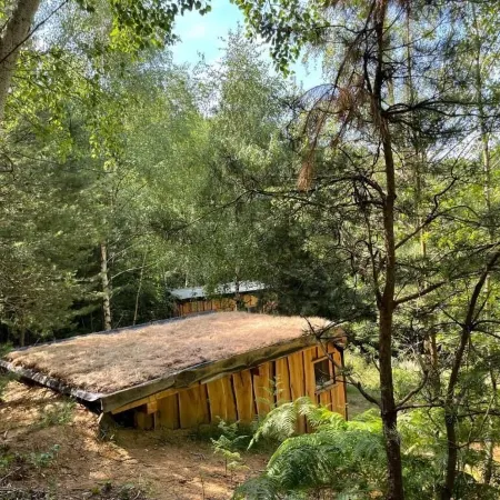 Boutique Glamping Divja DiVine