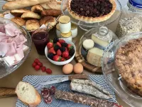 Les Cailloux Dorés Hotels in Sauve