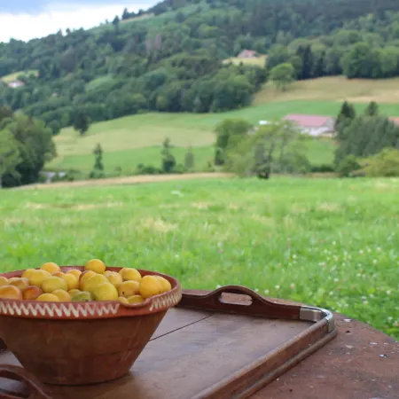 La Ferme de Jean Entre Lacs et Montagnes