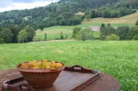 La Ferme de Jean Entre Lacs et Montagnes - Mountain view