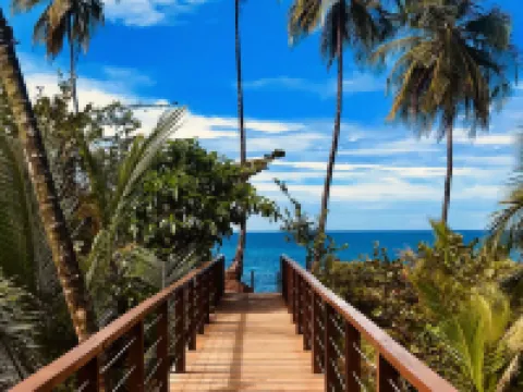 Hotel Tama Lodge Hotels in Tamarindo