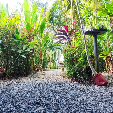 Cabinas Tropicales